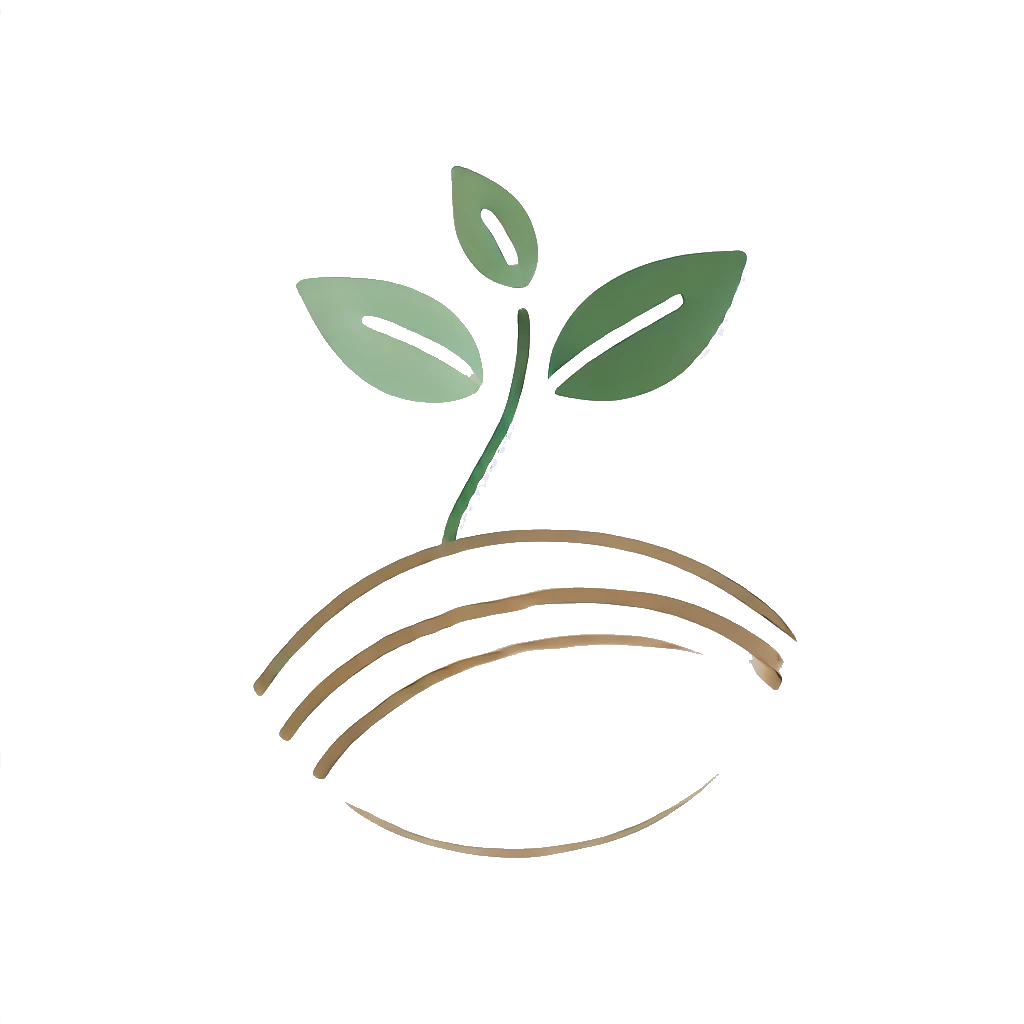 Focused on the Future Life Coaching LLC
